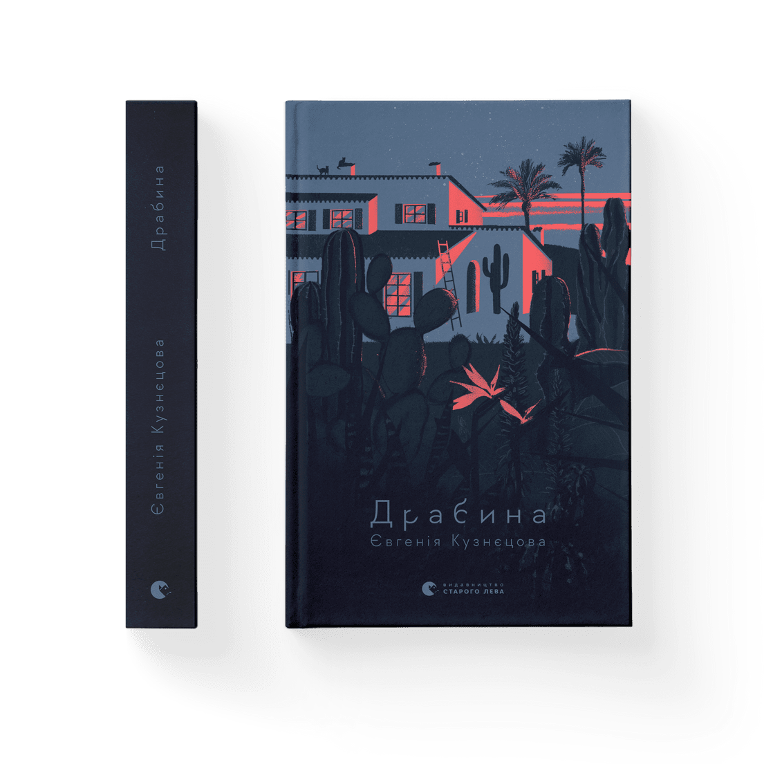 Книга "Драбина" Евгения Кузнецова ВСЛ (9789664480977)