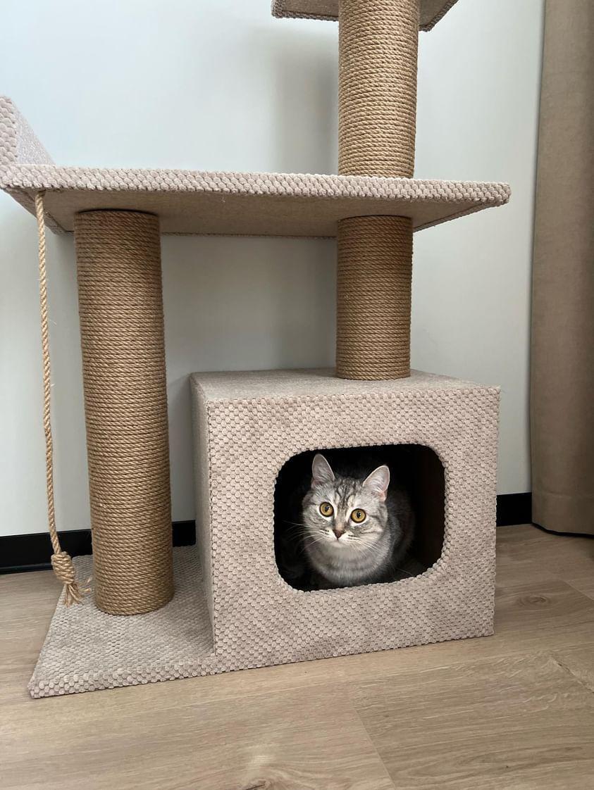 Кігтеточка з будиночком та лежанкою 85x55x35 см Бежевий (21706949) - фото 2 Кігтеточка з будиночком та лежанкою 85x55x35 см Бежевий (21706949) - фото 2