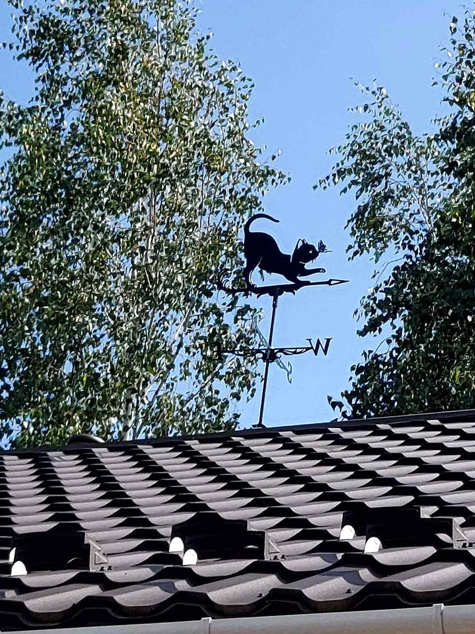 Флюгер на дах Кіт з метеликом металевий Чорний (9592868) - фото 2 Флюгер на дах Кіт з метеликом металевий Чорний (9592868) - фото 2