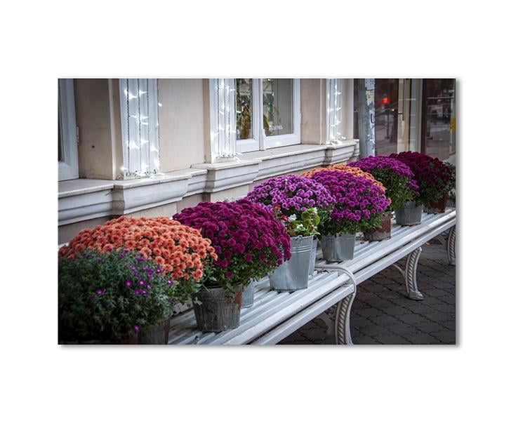 Картина модульная Вазоны под окном 1 модуль 60x90 см