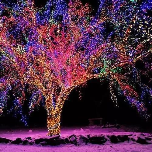 Гірлянда світлодіодна Нитка вулична 40 м 800 Led Різнокольоровий/Зелений дріт (1518249765) - фото 5