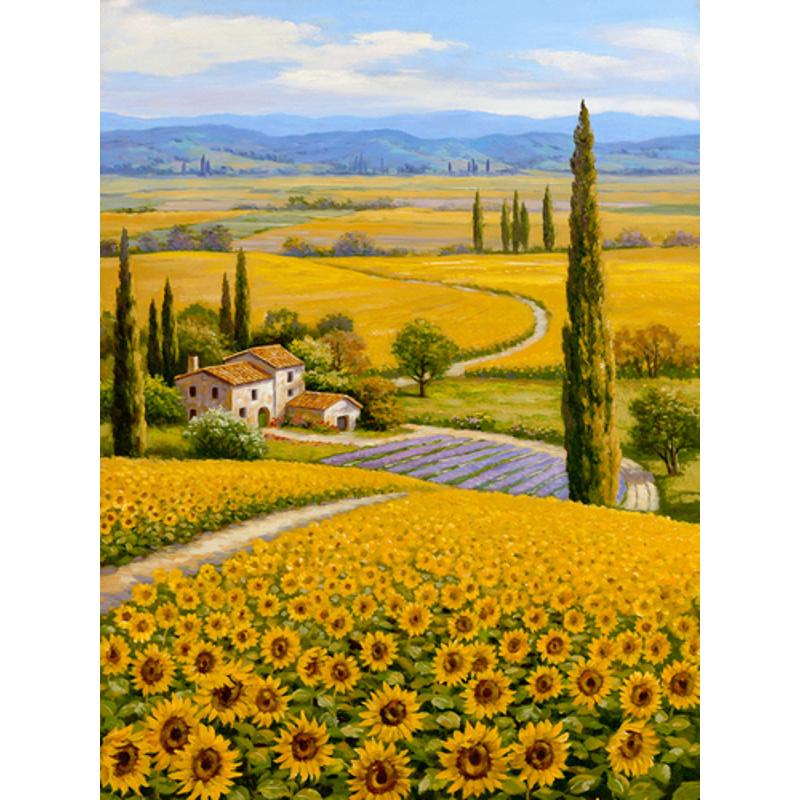 Алмазная мозаика Strateg Премиум Родные поля 30х40 см (Str-JSDF70798)