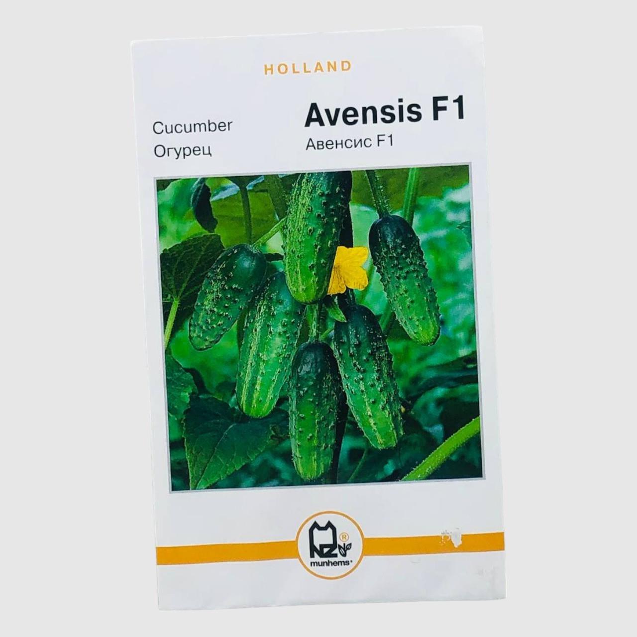 Семена огурца Авенсис F1 Holland 3 г (31744)