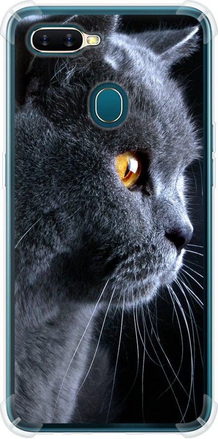 Чехол на Oppo A12 Красивый кот (3038sp-2557-42517)