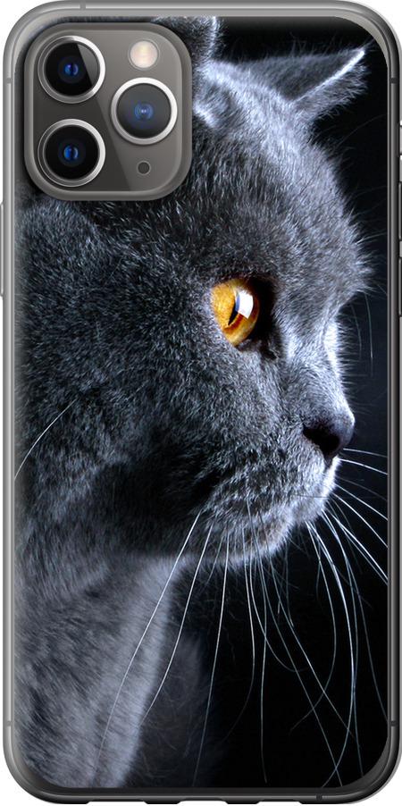 Чехол на iPhone 11 Pro Красивый кот (3038t-1788-42517)