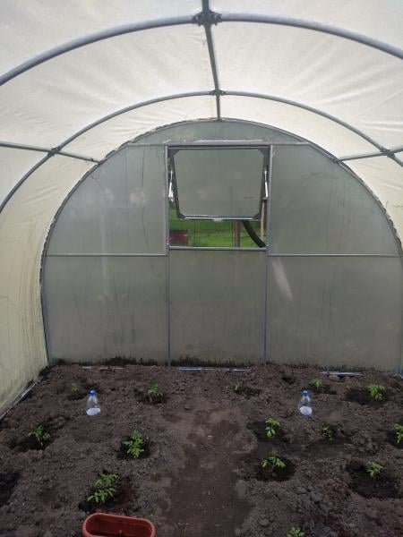 Теплиця Західна-4 Зигзаг профіль 3х4х2 м з плівкою 150 мкм - фото 6 Теплиця Західна-4 Зигзаг профіль 3х4х2 м з плівкою 150 мкм - фото 6