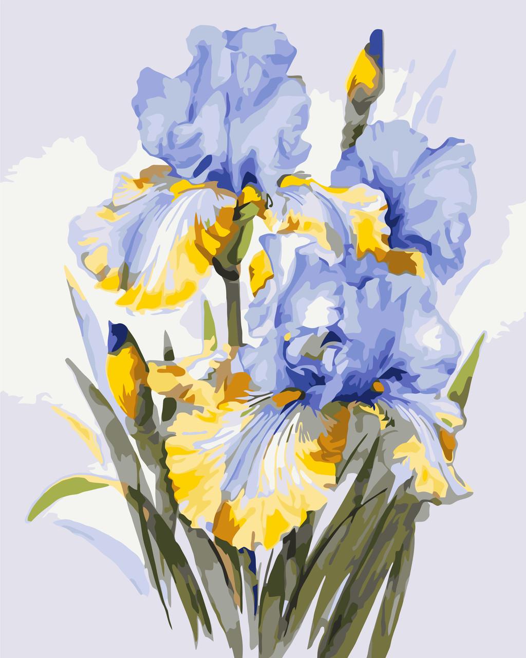 Картина по номерам ORIGAMI 31600 Букет из ирисов Цветы 40х50 см (LW31600)