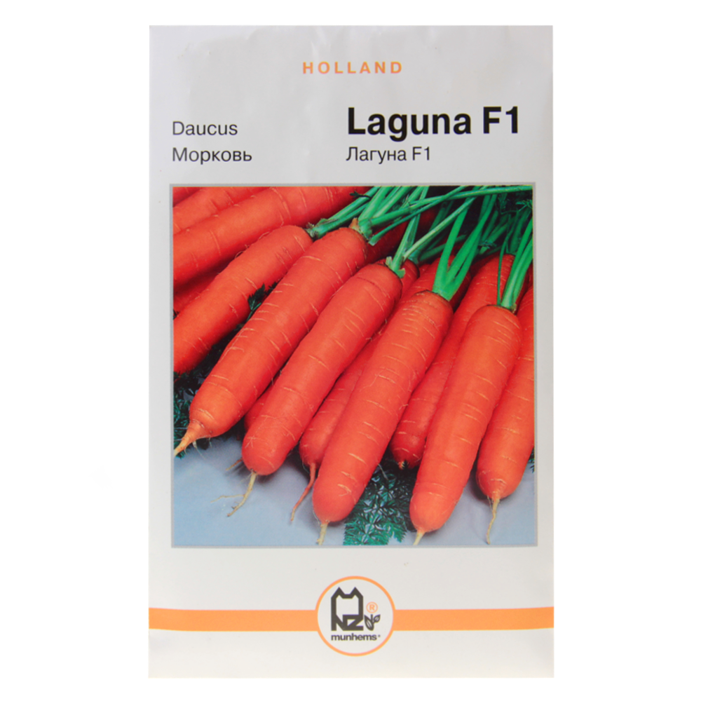 Насіння моркви Лагуна F1 середньопізня 10 г (26911) Насіння моркви Лагуна F1 середньопізня 10 г (26911)