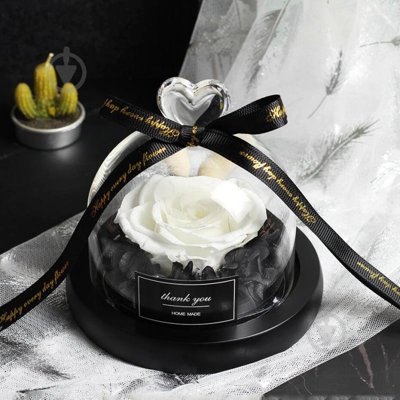 Нічник Thank You White Нічник Thank You White