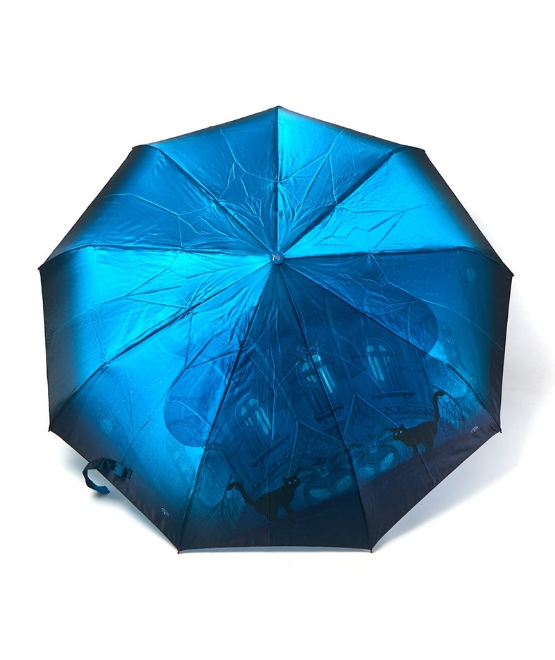 Зонт женский автоматический Frei Regen №3056 Голубой (948a71b8) Зонт женский автоматический Frei Regen №3056 Голубой (948a71b8)