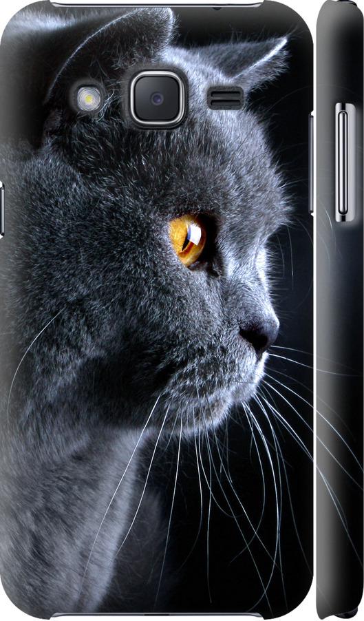 Чехол на Samsung Galaxy J2 J200H Красивый кот (3038c-190-42517)