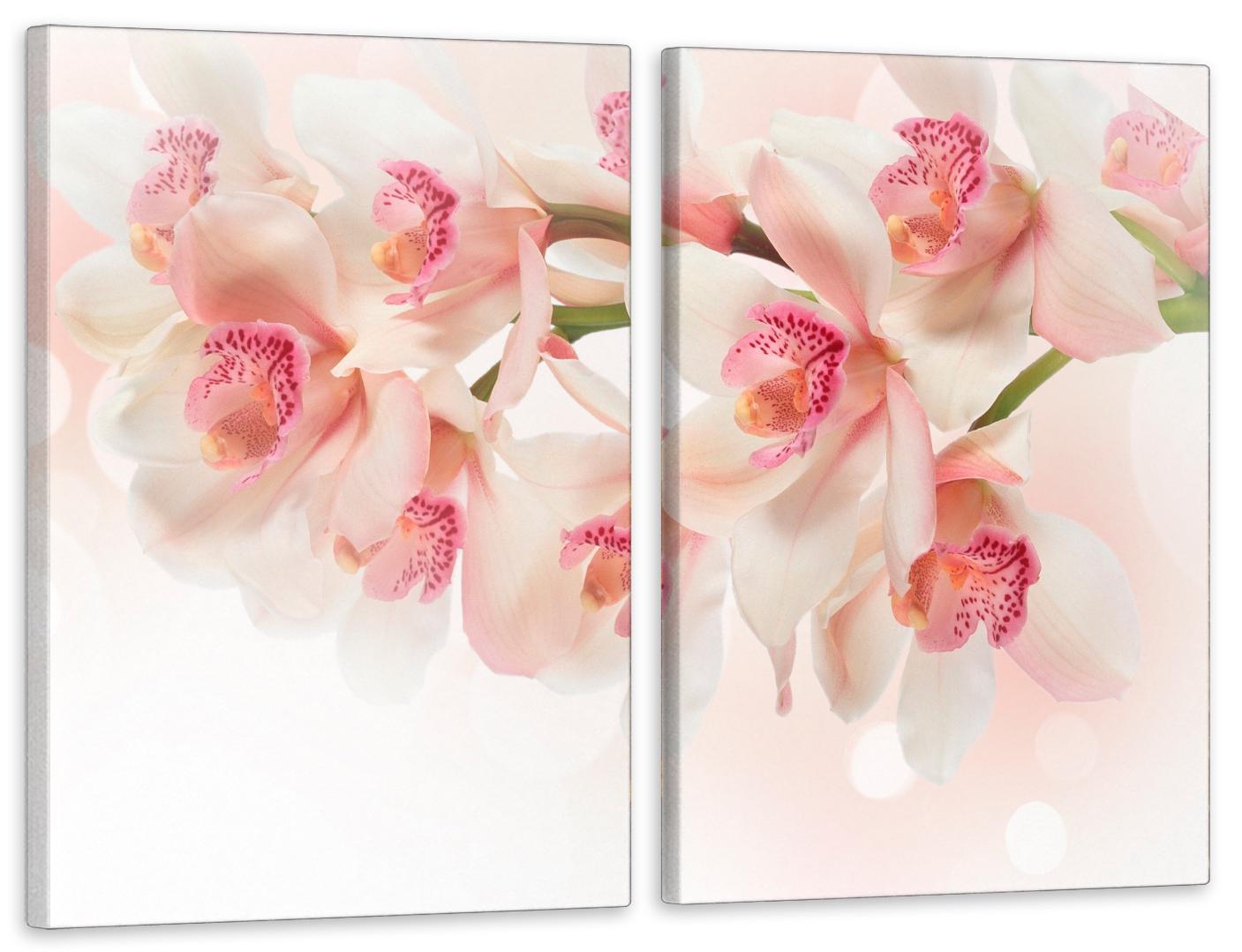 Картина модульная в гостиную/спальню Орхидея 50х70 см (TLV-2_107)