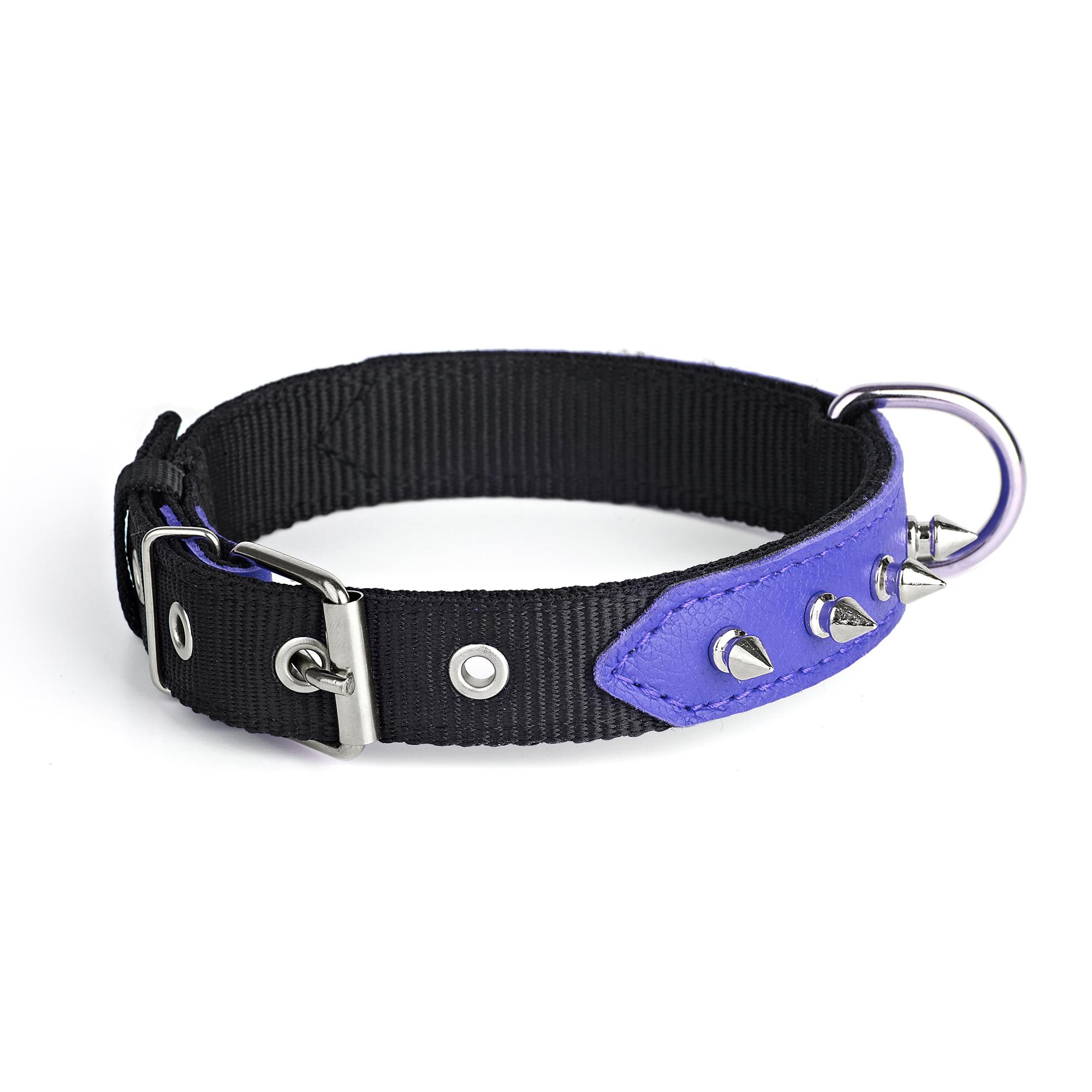 Ошейник KareLine и натуральной кожи с заклепками 25 мм 370-440 мм (6603/9) - фото 2 Ошейник KareLine и натуральной кожи с заклепками 25 мм 370-440 мм (6603/9) - фото 2