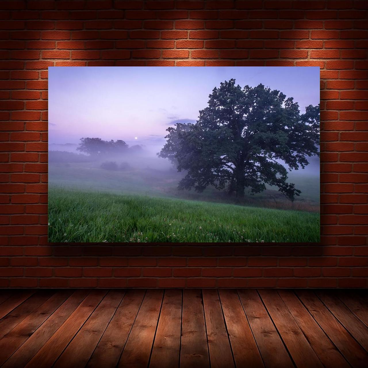Картина на холсте Природа 50х70 см (N931)