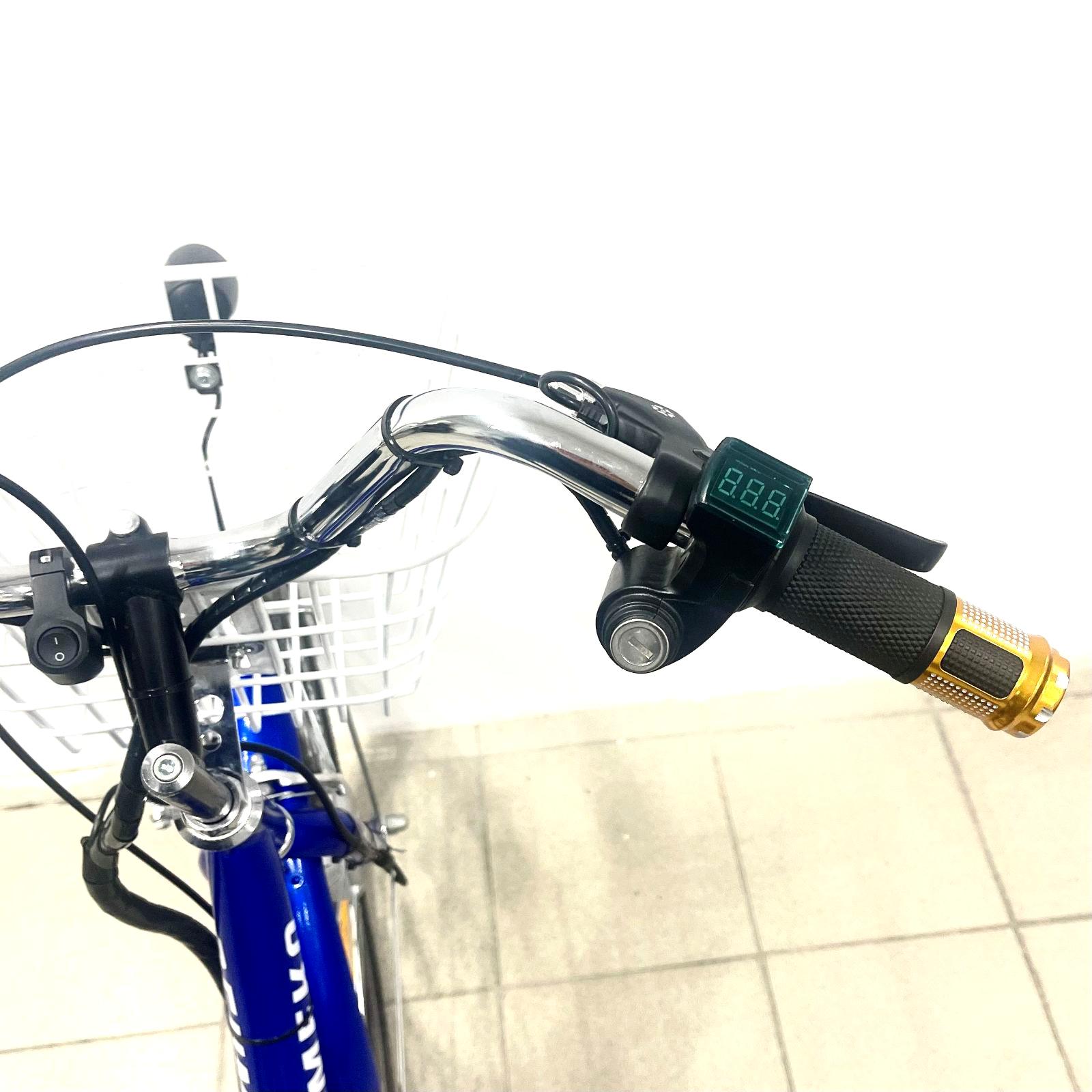 Електровелосипед триколісний Tiras DeumekoTrisnow2424 36V/350W 20Ah - фото 7