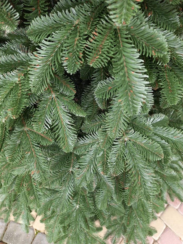 Штучна ялинка лита Канадська з підставкою 2,30 м Темно-зелений (NYT15306) - фото 11 Штучна ялинка лита Канадська з підставкою 2,30 м Темно-зелений (NYT15306) - фото 11