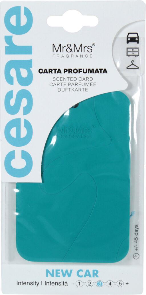 Ароматизатор Mr&Mrs Cesare Scented Cards Sky Blue New Car полимерный подвесной (JCESTES010V0)