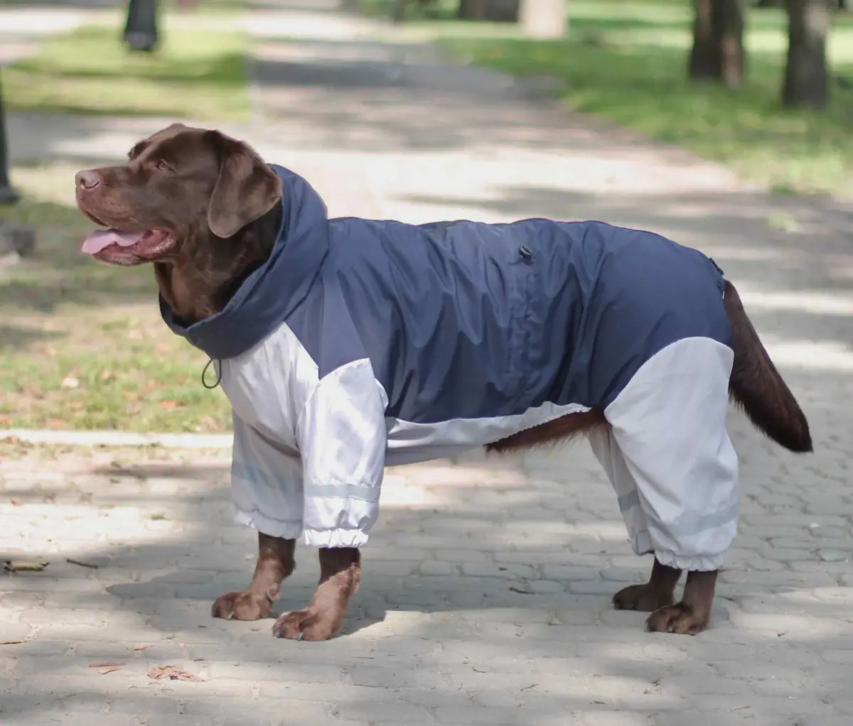 Дождевик Dogs Bomba для больших собак Синий с серым (MB-2/10)