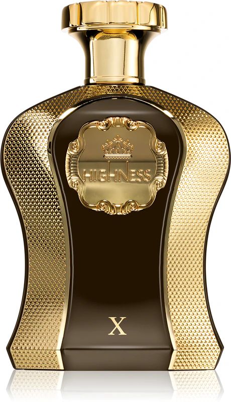 Парфюмированная вода Afnan Highness X 100 мл (2145_3843)