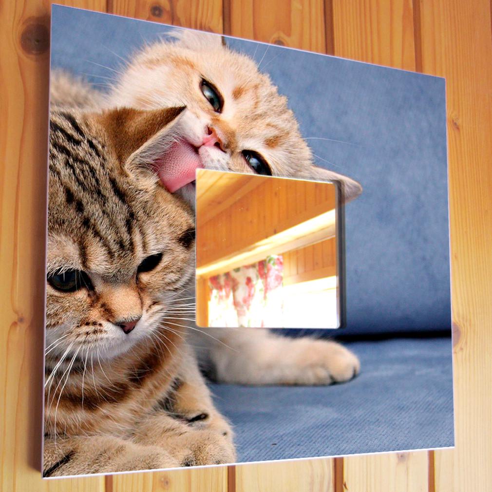 Зеркало декоративное с котятами Друзья 260х260 мм (M03856) Зеркало декоративное с котятами Друзья 260х260 мм (M03856)