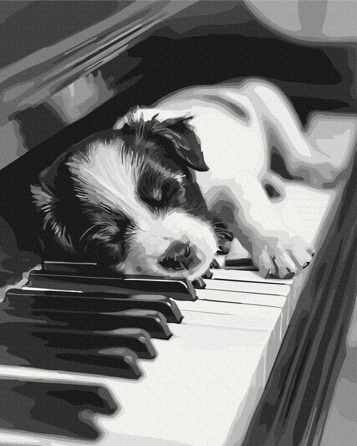 Картина по номерам Brushme Мелодия сна 40x50 см (BS54066)