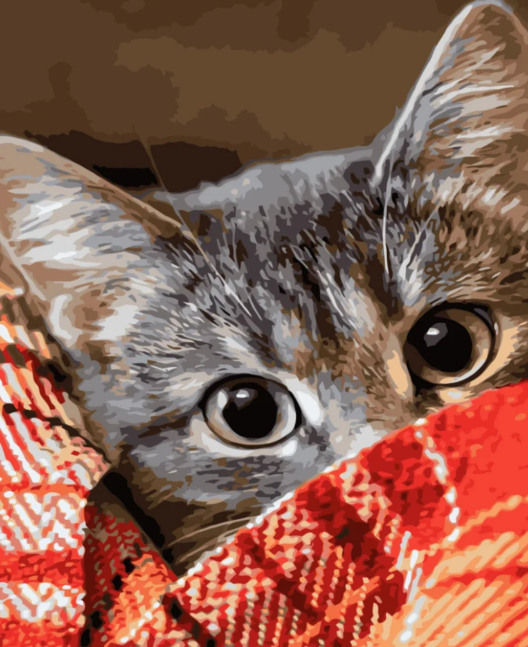 Картина по номерам Strateg Премиум Котик под одеялом с лаком и уровнем 40x50 см (VA-3428)