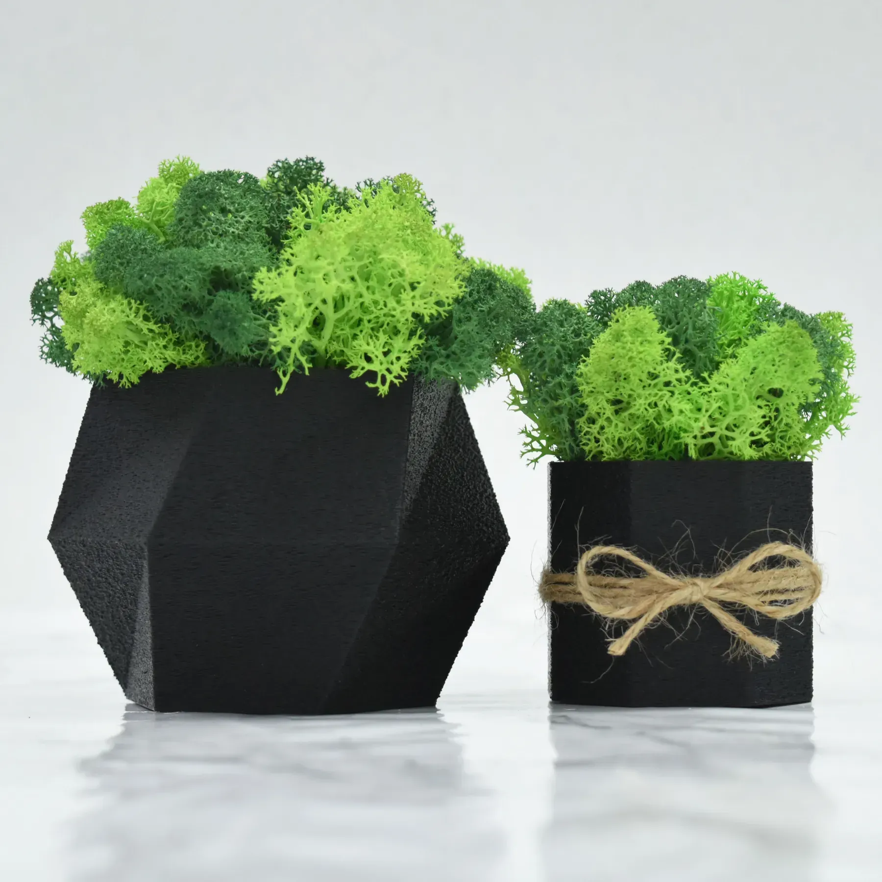 Комплект кашпо со стабилизированным мхом Ягель 2 шт. Черный/Зеленый/Салатовый (NA-C-3)