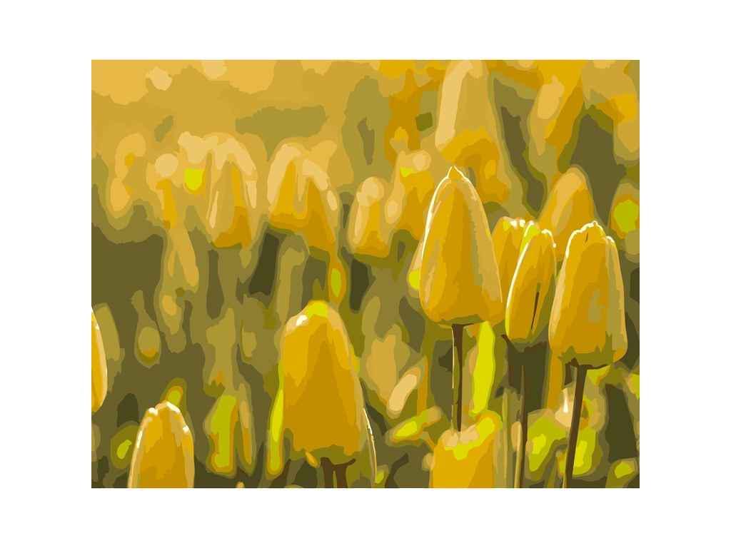 Картина по номерам Strateg Желтые тюльпаны 40х50 см (DY090)