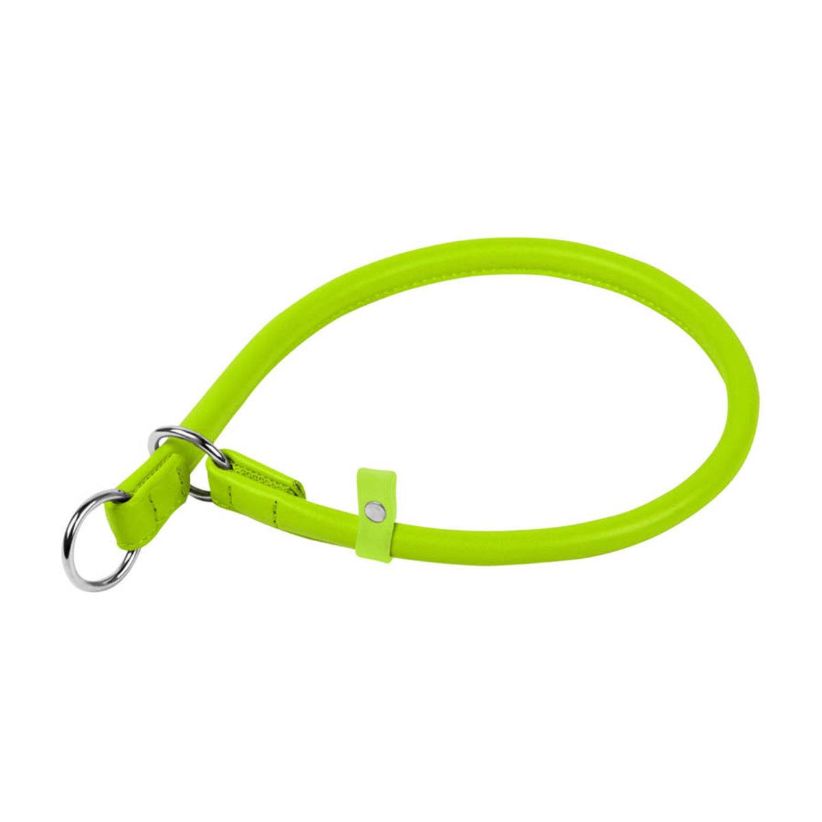 Нашийник-зашморг ривковий Waudog Glamour 8 мм 40 см Салатовий