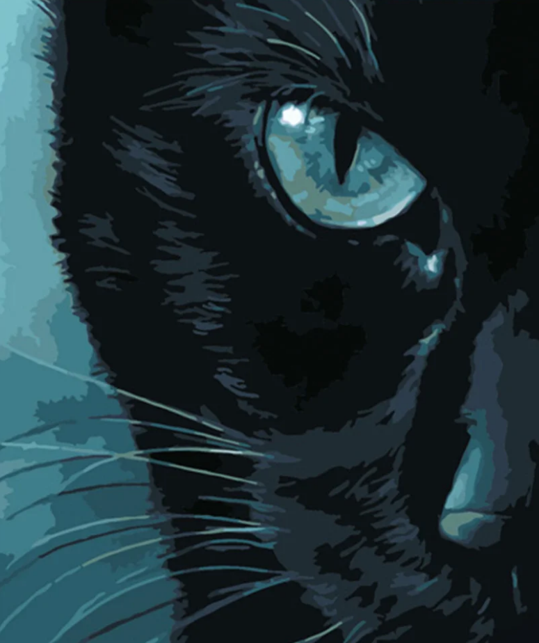 Картина по номерам Strateg Холодный взгляд 40x50 см (DY305)