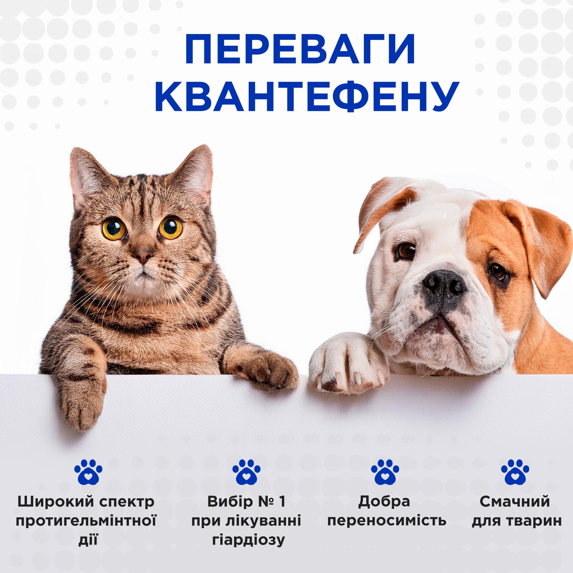 Таблетки антигельмінтні Kvantefen для собак та котів 1 таб на 10 кг 4 табл. (27850165) - фото 3 Таблетки антигельмінтні Kvantefen для собак та котів 1 таб на 10 кг 4 табл. (27850165) - фото 3