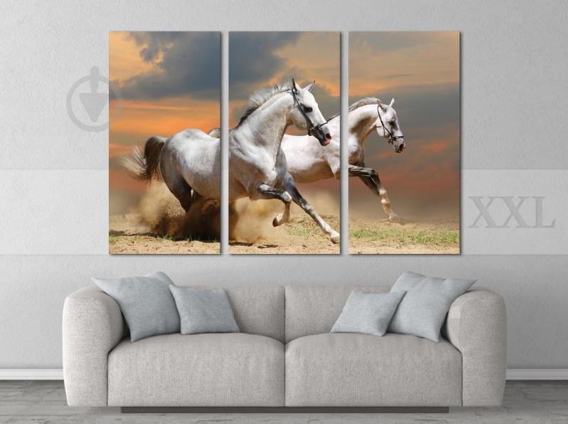 Модульна картина Poster-land Коні Art-81_XXL