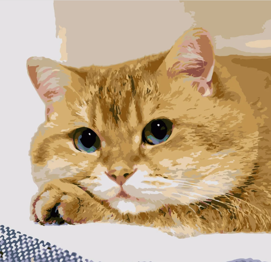 Картина по номерам Strateg Измученный котик 40х40 см (SK015)