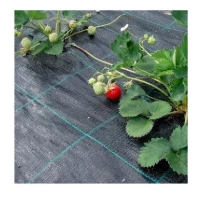 Агроткань Premium-Agro 100 г/кв. м 1,05 м Черный (27817512) - фото 3