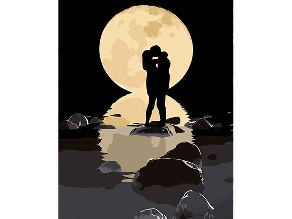 Картина по номерам Strateg В сиянии луны на черном фоне 40х50 см (AH1029)