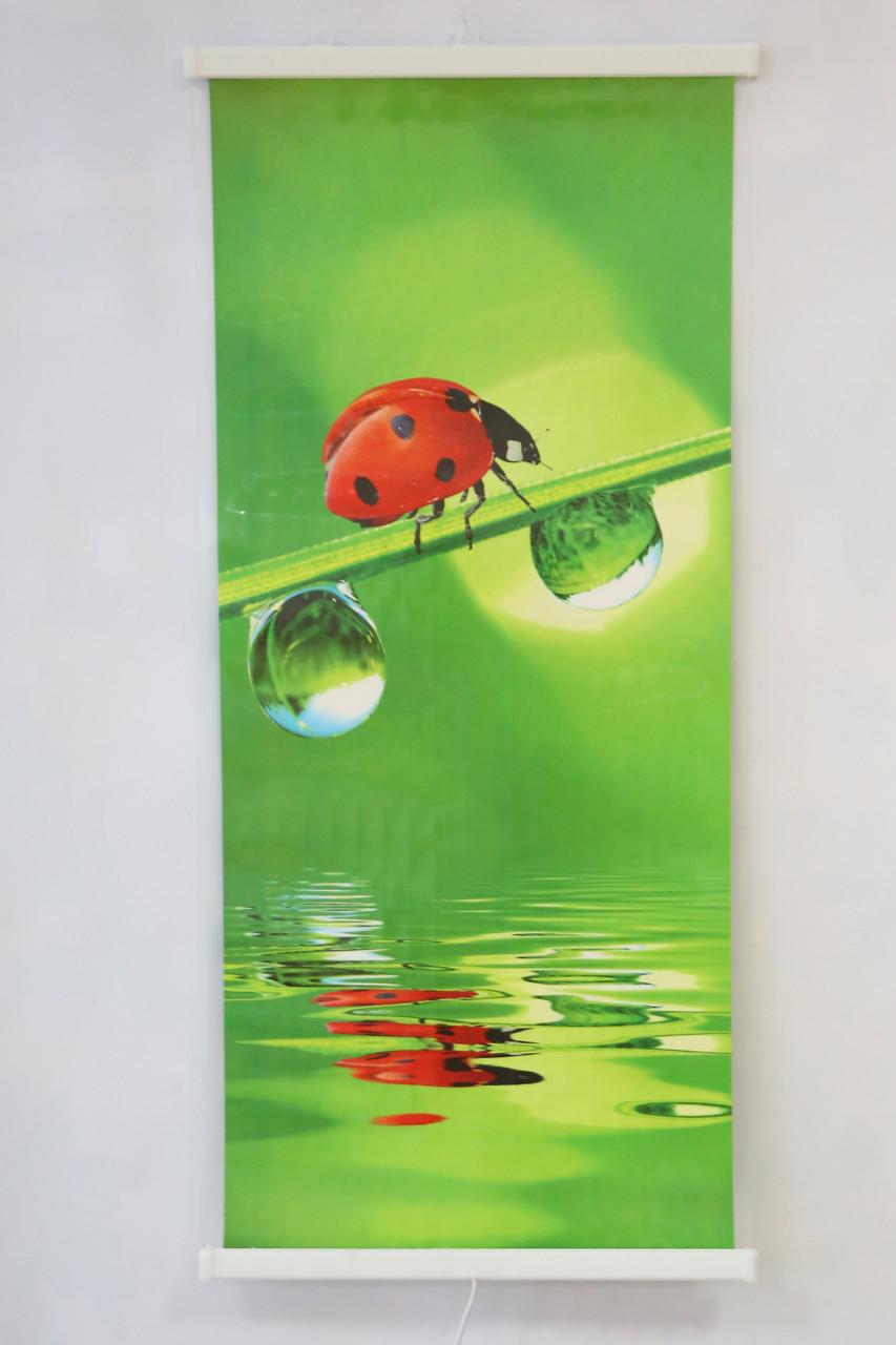 Обогреватель электрический пленочный настенный картина Божья коровка 200 Вт 100х46 - фото 3 Обогреватель электрический пленочный настенный картина Божья коровка 200 Вт 100х46 - фото 3