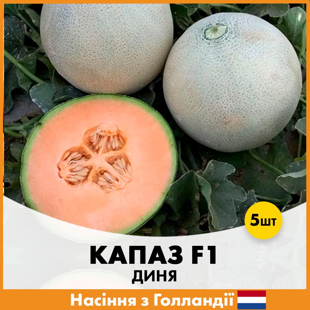 Семена дыни Enza Zaden Капаз F1 5 шт. (R30324)