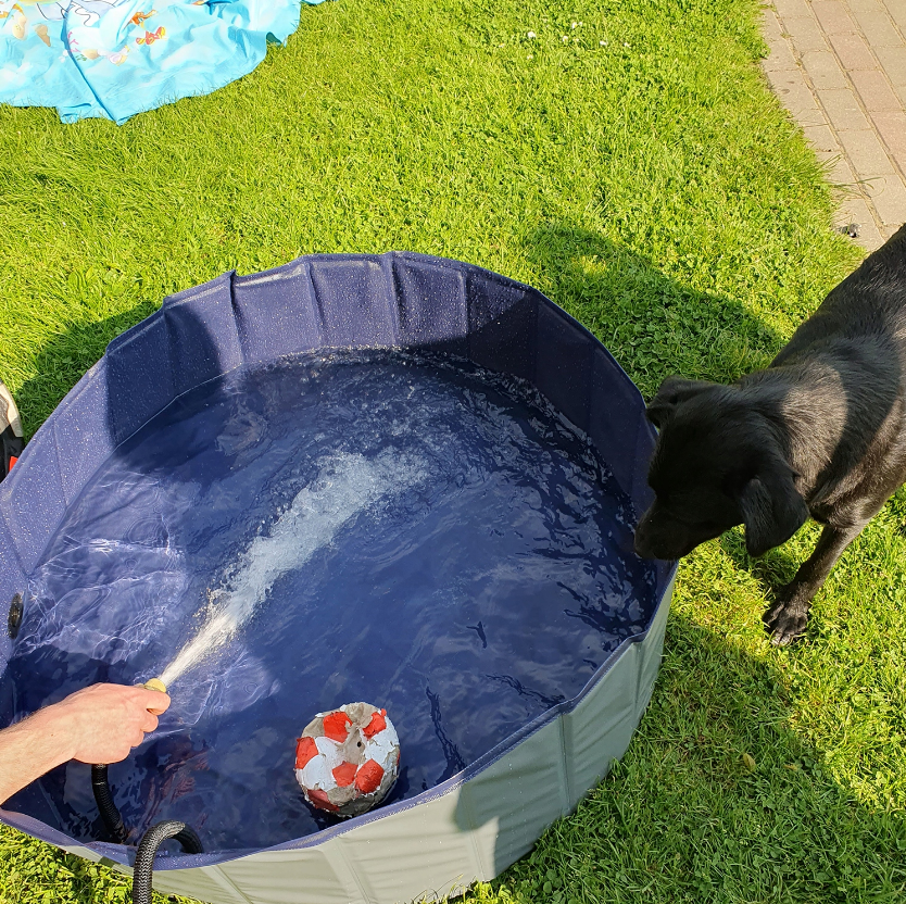 Бассейн для собак Purlov XXL 100x30 см (20929) - фото 8