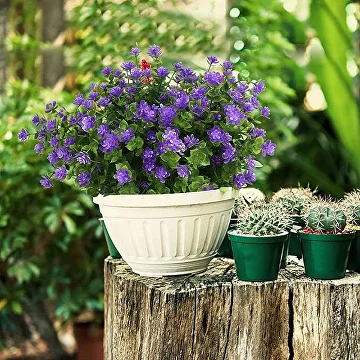 Искусственные цветы для декора устойчивые C00596-1 Фиолетовый - фото 5