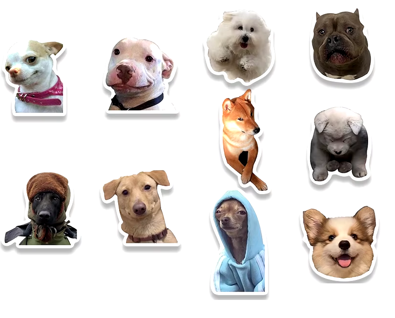 Набор наклеек Собачки мемы для гаджета/телефона 10 шт. (10083)