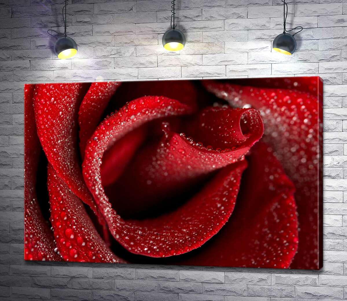 Картина ArtPoster Нежная середина красной розы, усеянная каплями росы 130x87 см Модуль №1 (000780)