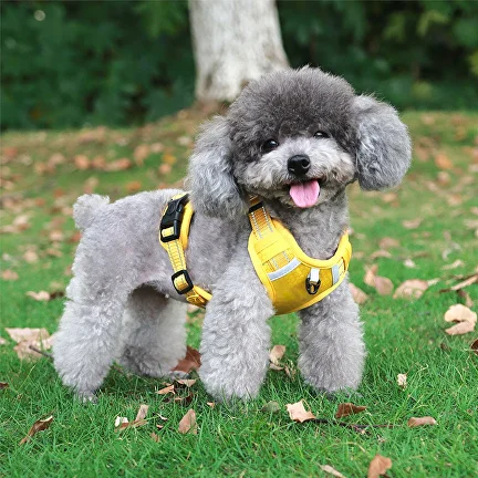 Шлейка анатомическая для собаки C00447-3 со светоотражающими полосами М 7-12,5 кг Желтый - фото 4