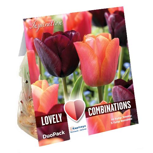 Комбо тюльпаны Florium Duopack Triumph Purple & Orange брендовые луковицы Kapiteyn (15249)