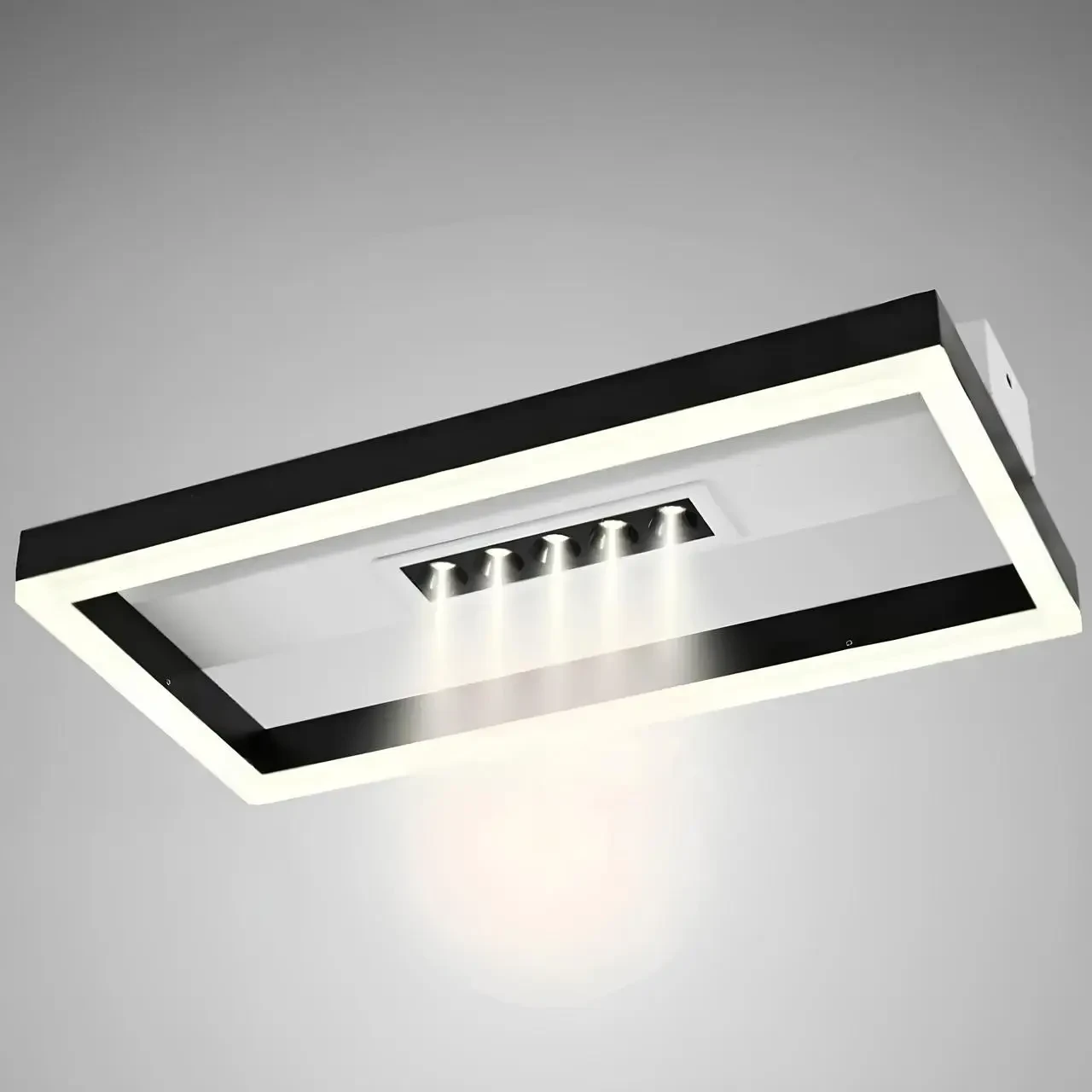 Люстра потолочная светодиодная с пультом 42W+5W 3000-6000К 226047/1 WH+BK Черно-белый (2004513863)