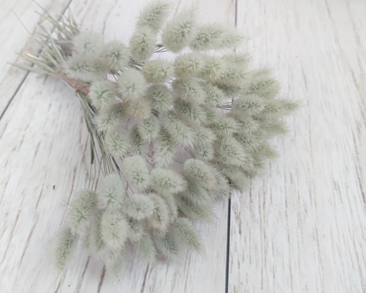 Сухоцвет лагурус зайцехвост 30 шт.