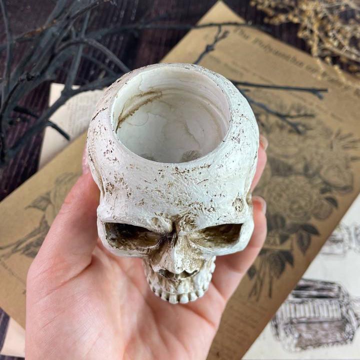 Свічник 5candles Череп Відьми (1529) - фото 4 Свічник 5candles Череп Відьми (1529) - фото 4