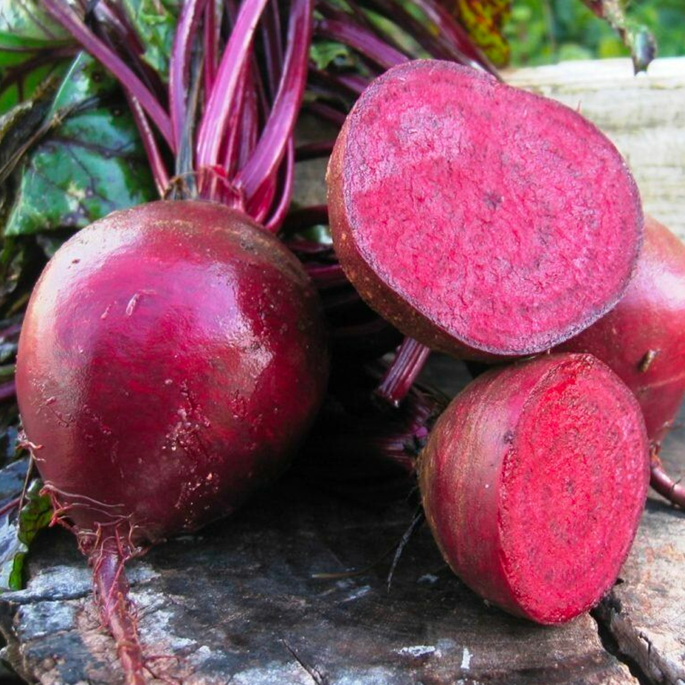 Насіння Cultiva Буряк Пабло F1 200 шт. (B14) - фото 3 Насіння Cultiva Буряк Пабло F1 200 шт. (B14) - фото 3