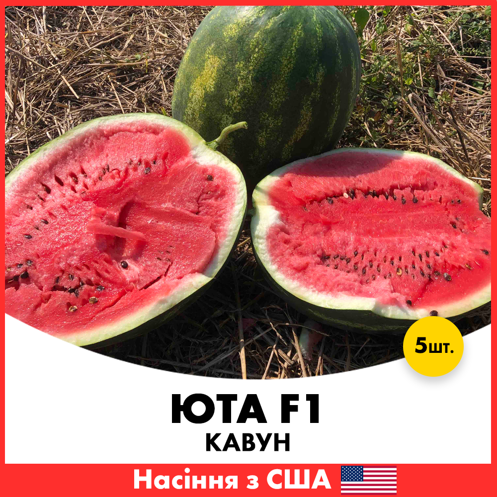 Семена арбуза Spark Seeds Юта F1 5 шт. (jkl3)