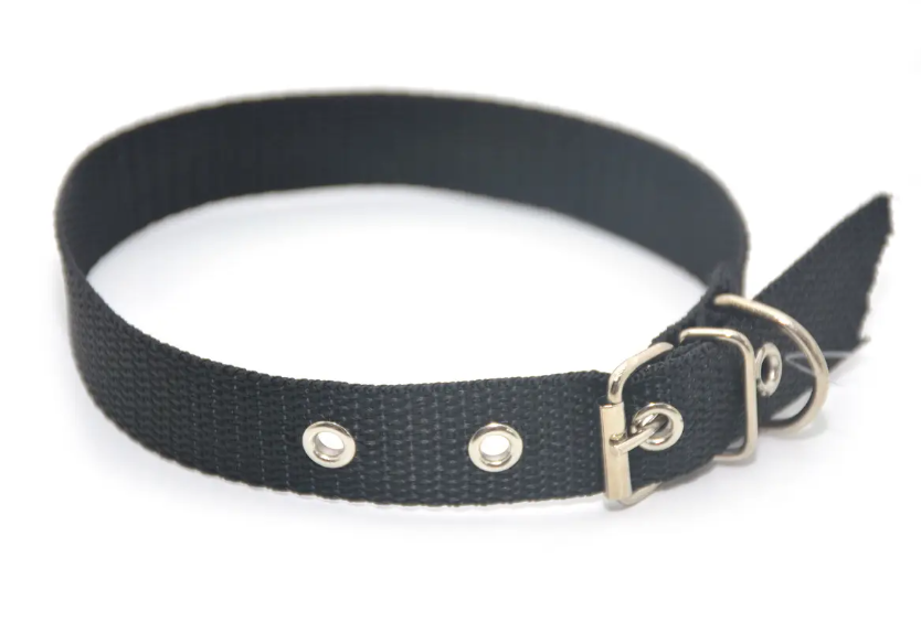 Ошейник капроновый одинарный 15 мм 40 см Черный (00000007187)