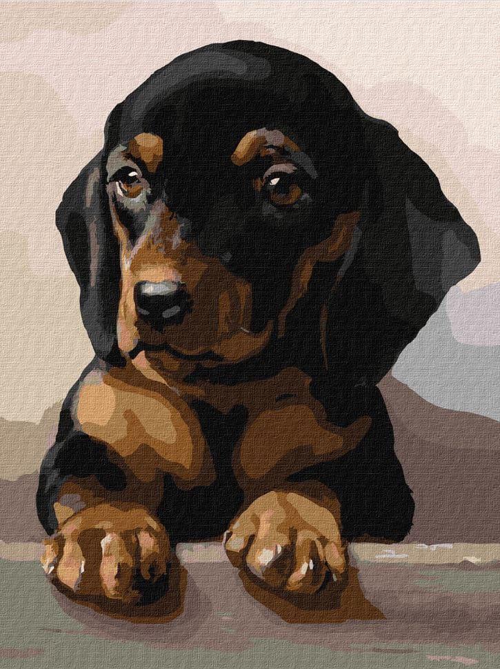 Картина по номерам Идейка КН4345 Преданный взгляд 30х40 см (L067367)